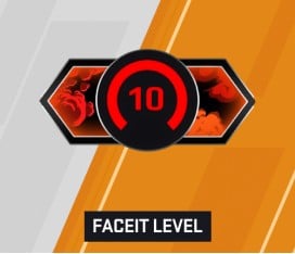 CS2 FACEIT Level