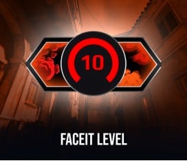 CS2 FACEIT Level