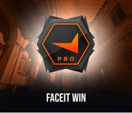 CS2 FACEIT NET Wins