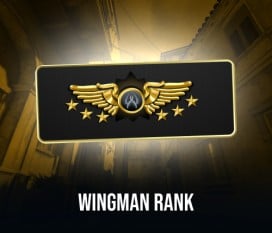 CS2 Wingman Rank