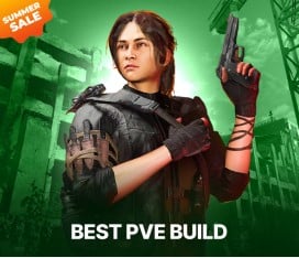 Best PVE Build