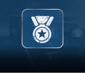 Badges