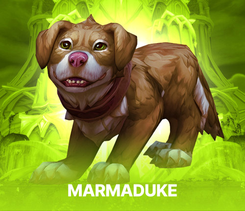 MARMADUKE PET
