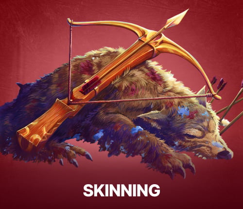 SKINNING WOW CLASSIC ANNIVERSARY