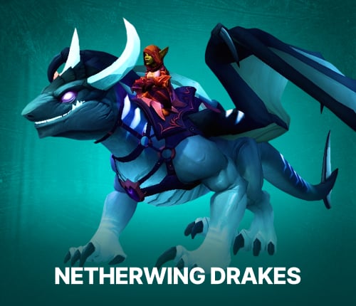TBC NETHERWING DRAKES