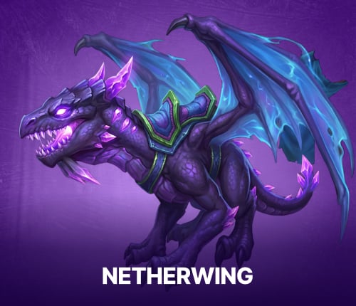 NETHERWING REPUTATION