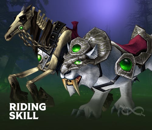 RIDING SKILL