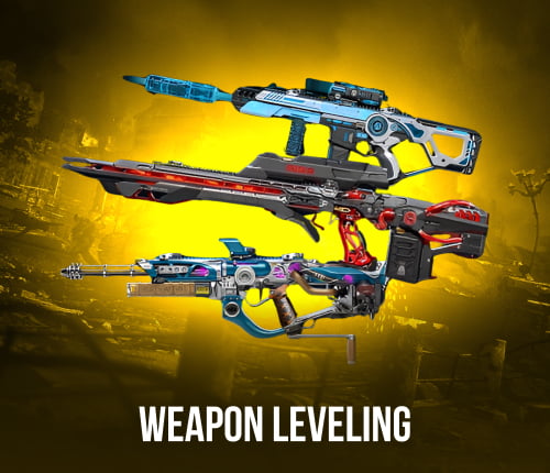 Weapon Leveling Black Ops 7