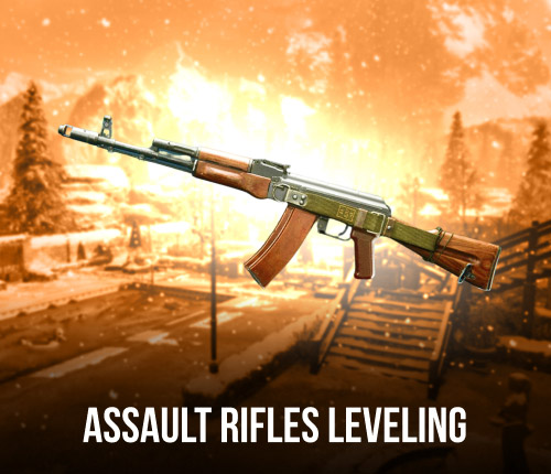 ASSAULT RIFLES LEVELING
