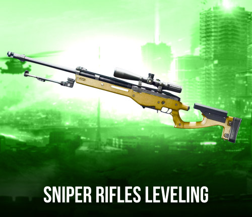 SNIPER RIFLES LEVELING