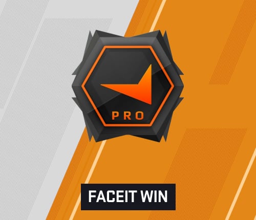 FACEIT NET WINS