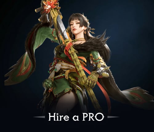 Hire a PRO Service