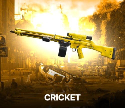 CRICKET LMG | DIVISION 2