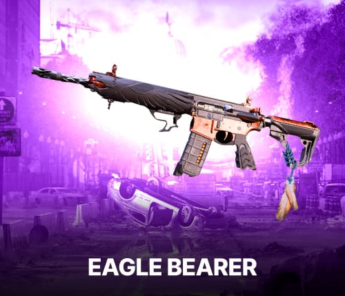 Eagle Bearer Exotic AR