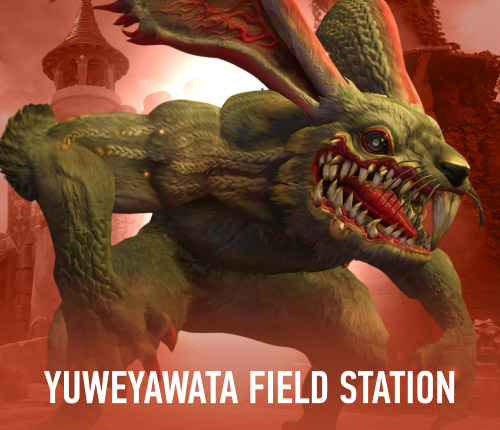 YUWEYAWATA FIELD STATION DUNGEON