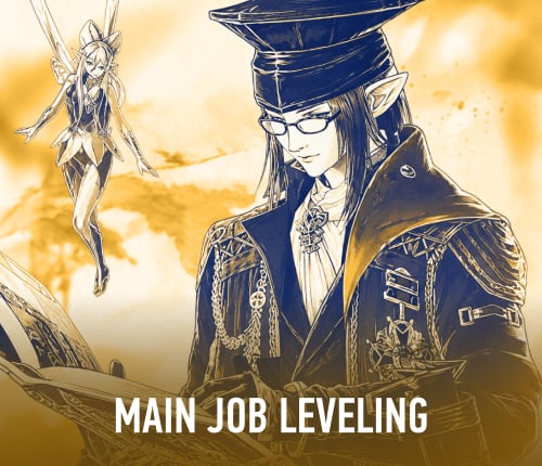 MAIN JOB LEVELING