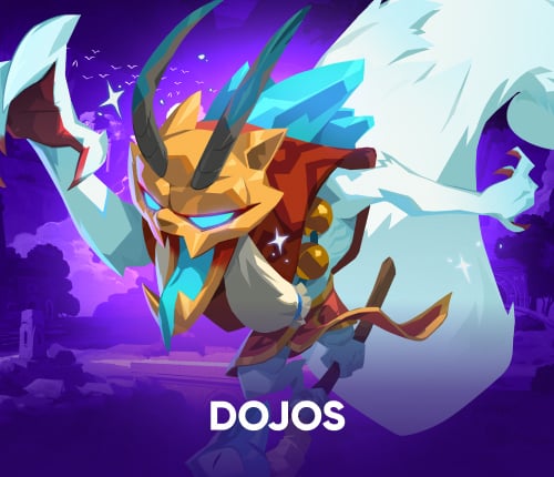 MoCo Dojos