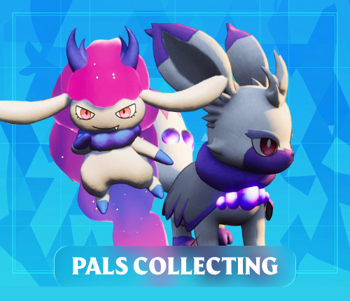 PALS COLLECTING SERVICE