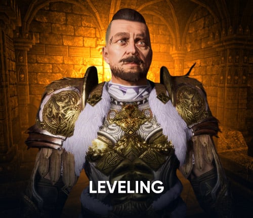 Quinfall Leveling
