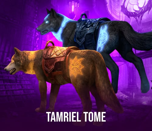 Tamriel Tome