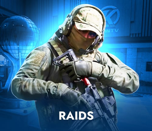 ABI Raids