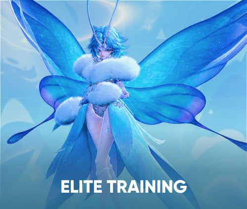 ANIIMO ELITE TRAINING