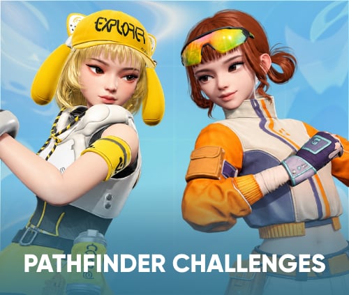 Aniimo Pathfinder Challenge