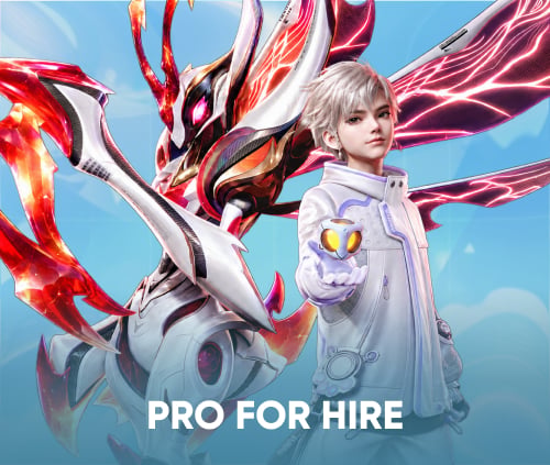 PRO FOR HIRE