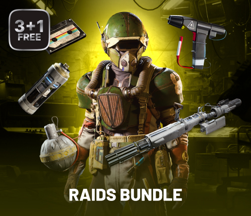 RAIDS BUNDLE 3+1 FOR FREE
