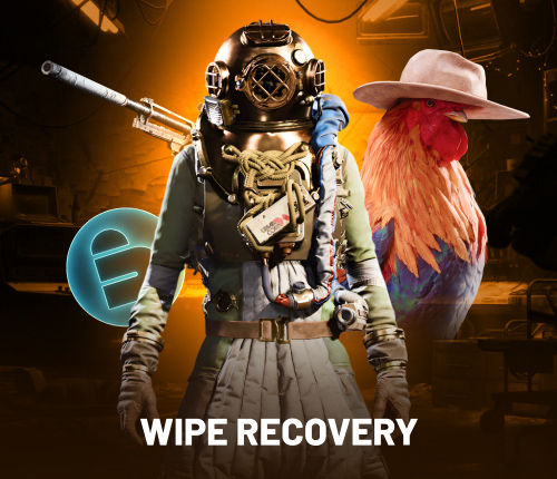 WIPE RECOVERY BUNDLE