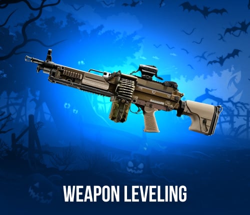 BF6 Weapon Leveling
