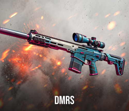 DMRs Leveling