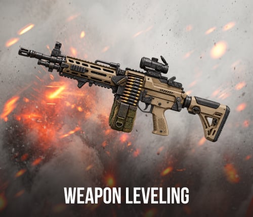 Weapon Leveling | Any Gun