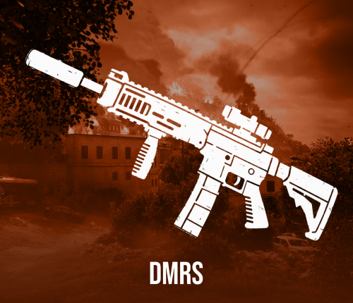DMRs Leveling