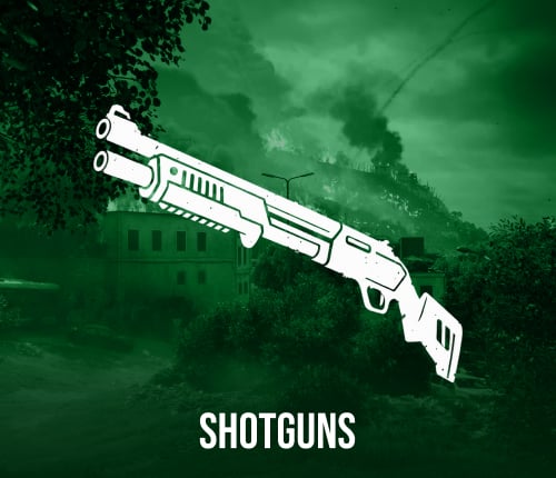 Shotguns Leveling