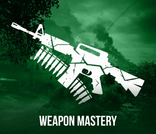 Weapon Leveling