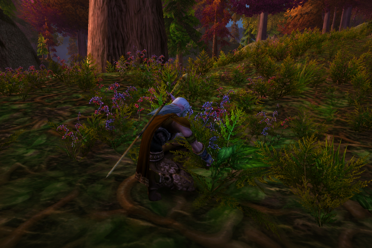 WoW Forever camping system camp objects basic campfire buffs guide