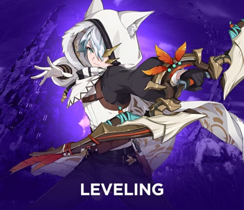 BPSR Character Leveling