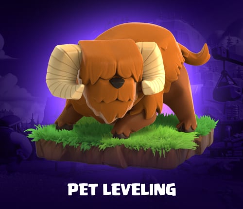 Pet Leveling