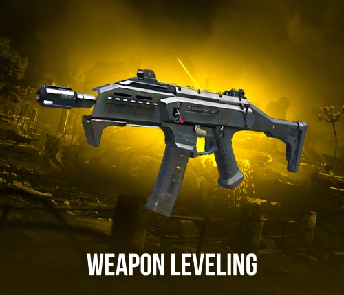 Black Ops 2 Weapon Leveling