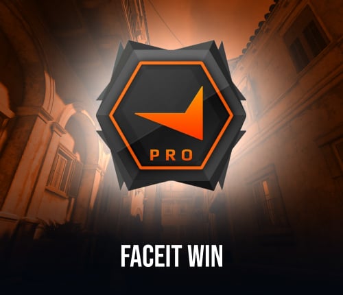 FACEIT NET WINS
