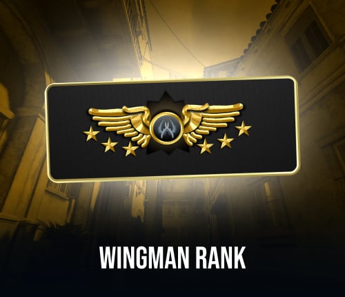 CS2 Wingman Rank
