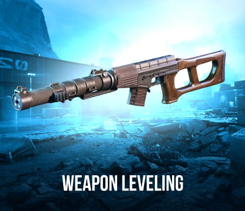 DF WEAPON LEVELING