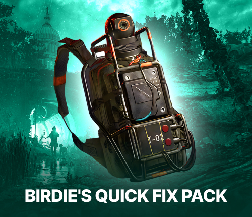 BIRDIE'S QUICK FIX PACK