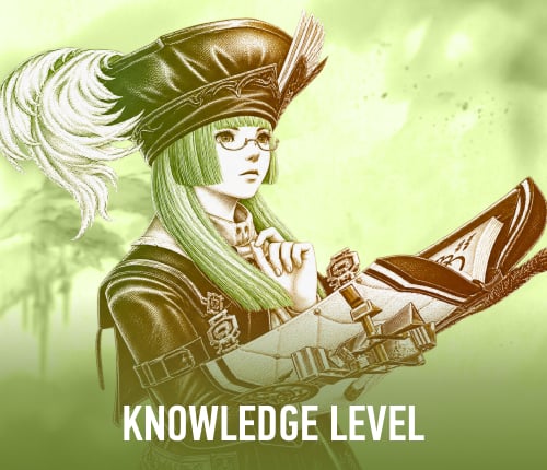 Knowledge Level