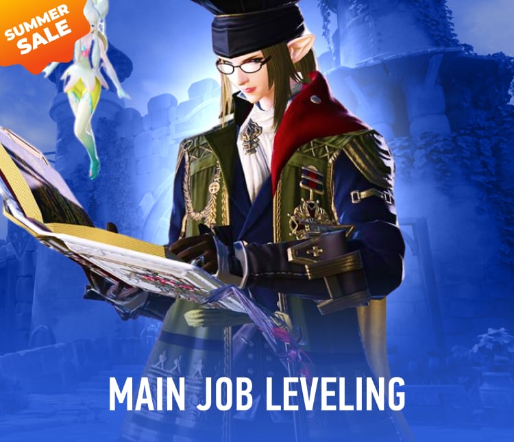 Main Job Leveling