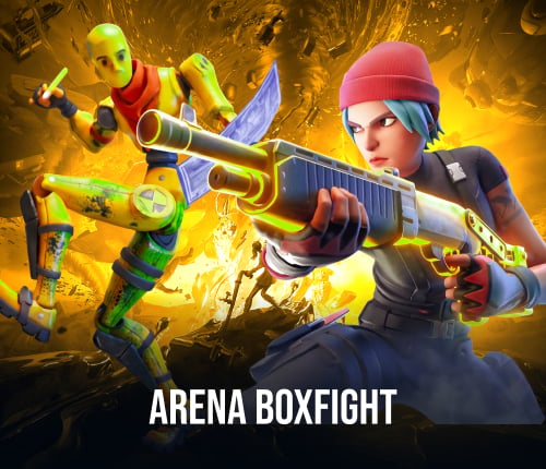 ARENA BOXFIGHT