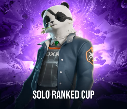 FORTNITE SOLO RANKED CUP