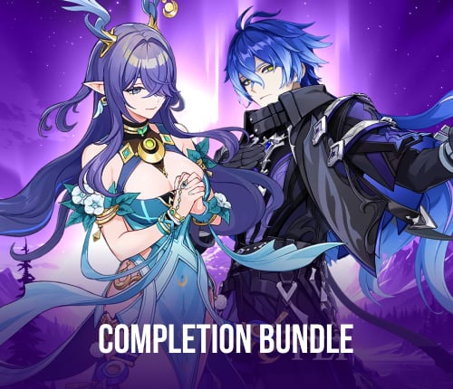 6.3 Completion Bundle