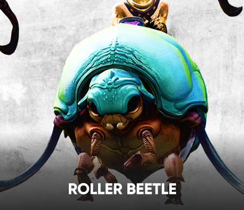 Roller Beetle Mount